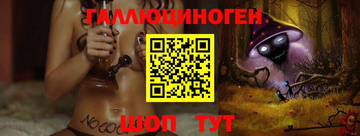 Галлюциногенные грибы Cubensis Ковров
